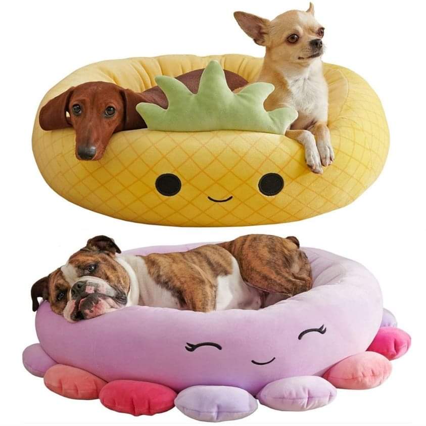 Squishmallows Origineel 20-Inch Jerrika The Octopus Huisdier Bed - Klein formaat Ultrasoft Officieel Pluche Huisdier Bed